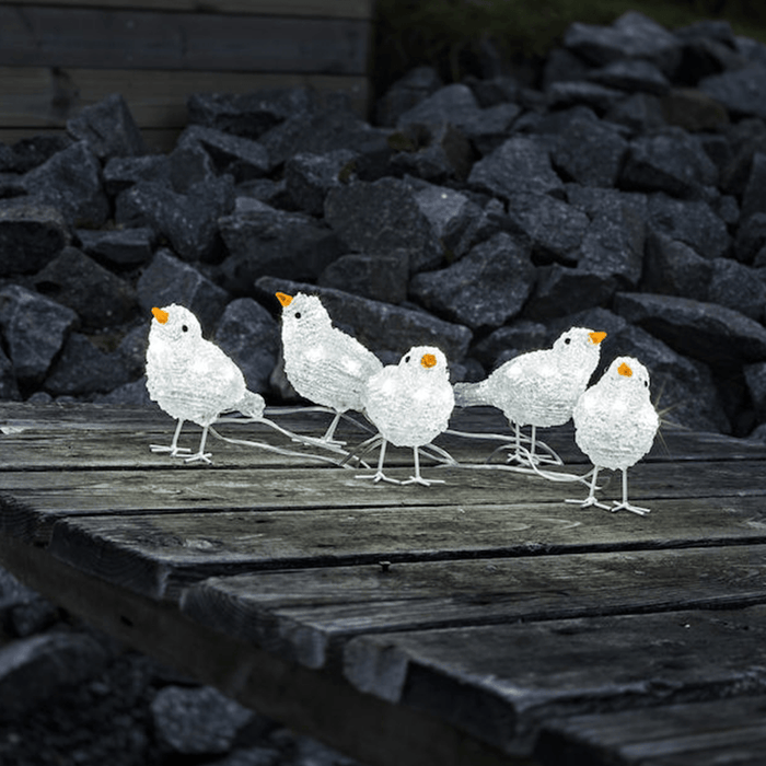 Konstsmide Outdoor Acrylic Birds