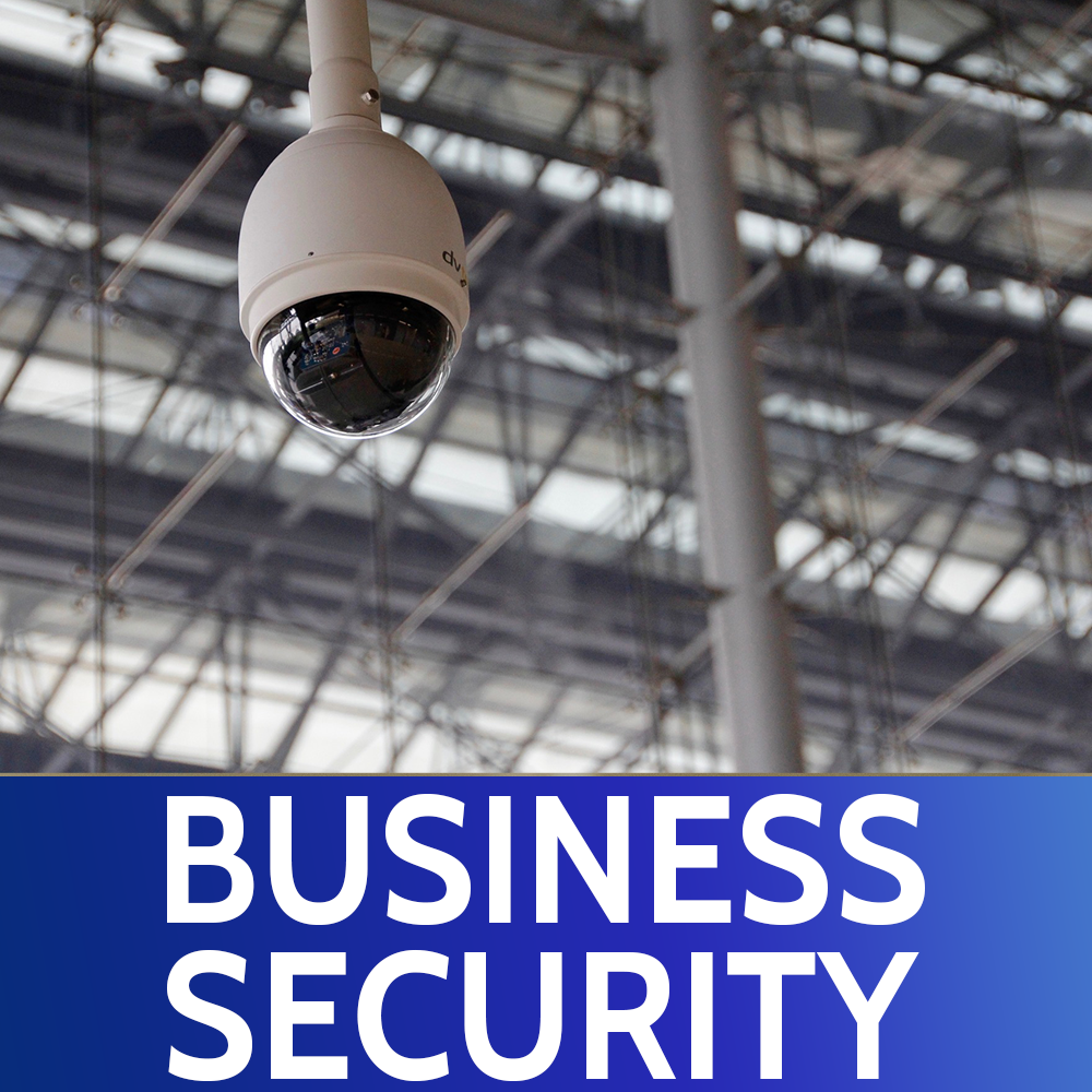 Business Security