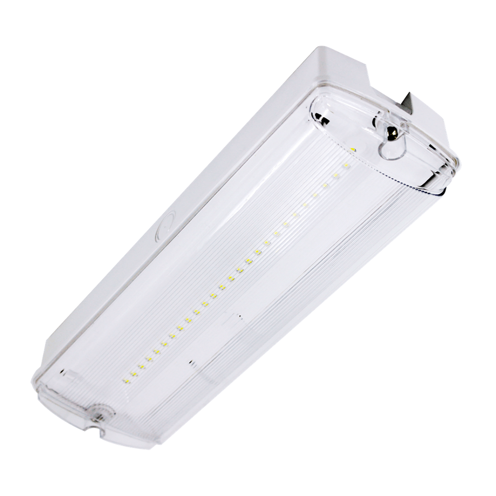 ELD 5W IP65 Emergency Bulkhead — SM Electrical Supplies Kirkcaldy